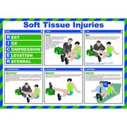 Soft Tissue Injuries Poster